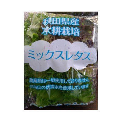 きれいな水で育てた新鮮レタスセット400g（100g×4袋 野菜 小分け）