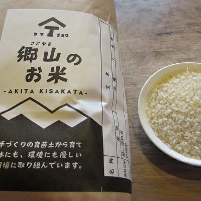 【新米予約】農薬不使用のあきたこまちとササニシキ玄米4kgセット（各2kg）「郷山のお米」（食べ比べ）
