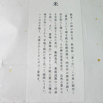 秋田県産 あきたこまち 玄米 6kg（2kg×3袋）神宿る里の米「ひの米」（お米 小分け）