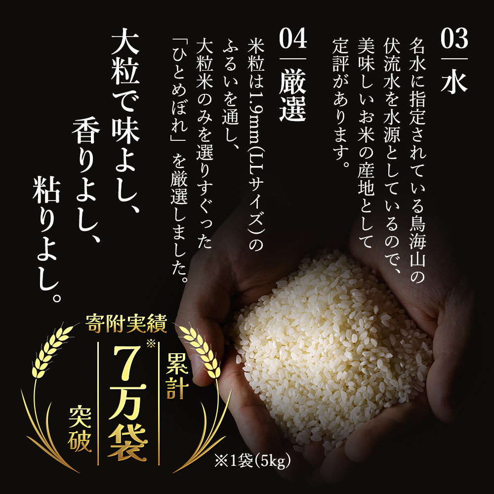 米 定期便 10ヶ月 秋田 ひとめぼれ 5kg 土づくり実証米 令和6年産 新米 お米 5キロ 秋田県産 白米 精米 サブスク 50kg 秋田県 定期 10回