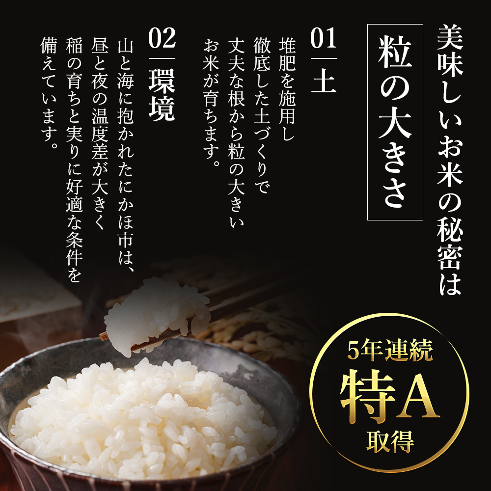 米 定期便 6ヶ月 秋田 ひとめぼれ 10kg ( 5kg ×2袋)土づくり実証米 令和6年産 お米 秋田県産 白米 サブスク 60kg 秋田県 定期 6回