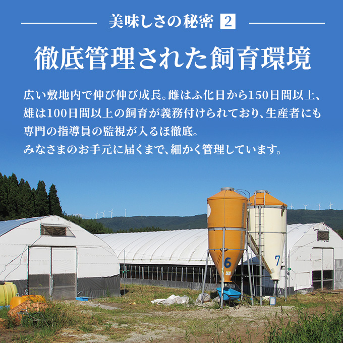 秋田県産比内地鶏肉450g(150g×3袋 小分け モモ ムネ 味付け無し)