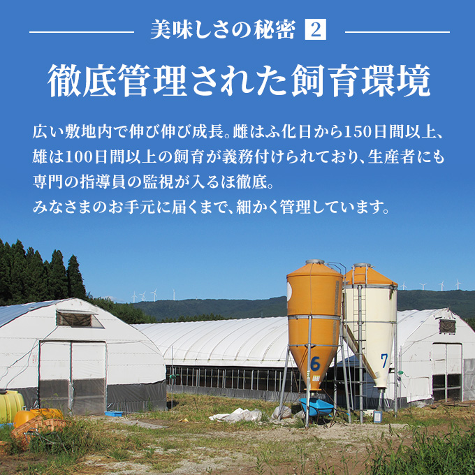 秋田県産 比内 地鶏 定期便 900g(150g×6袋×7ヶ月 計6.3kg 小分け もも ムネ 味付け無し）