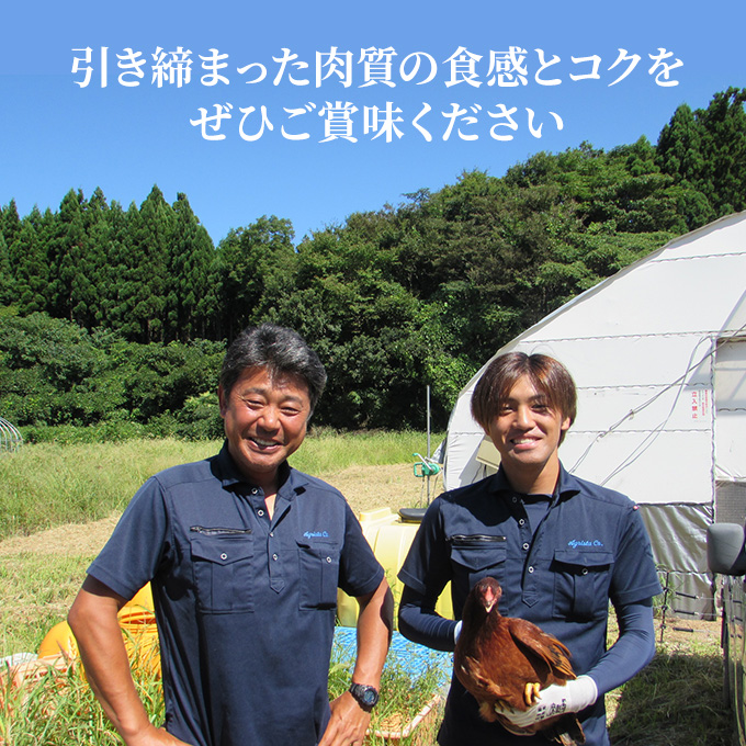 秋田県産比内地鶏肉 焼き鳥の定期便（30本×10ヵ月）（焼鳥 10ヶ月 もも肉 むね肉）