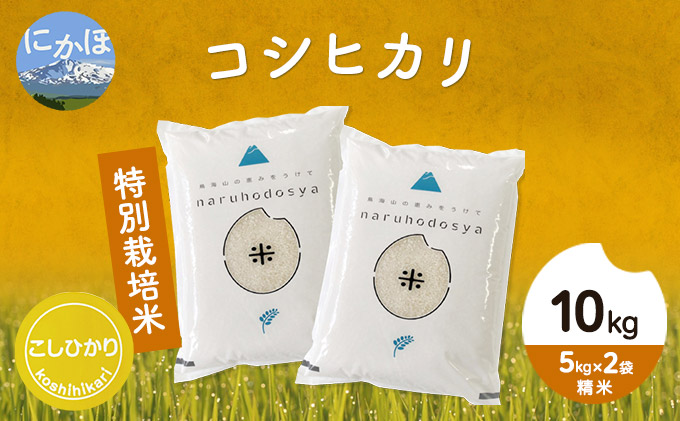 令和4年産  秋田県産 特別栽培米 コシヒカリ10kg（5kg×2袋 精米）