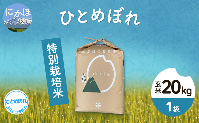 令和4年産 秋田県産 特別栽培米 ひとめぼれ20kg（20kg 1袋 玄米）