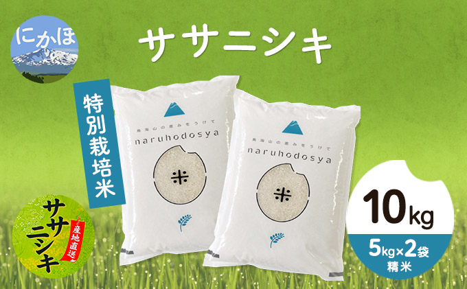 令和4年産  秋田県産 特別栽培米 ササニシキ10kg（5kg×2袋 精米）