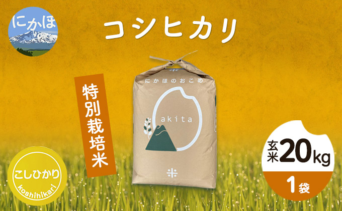 令和4年産 秋田県産 特別栽培米 コシヒカリ 20kg（20kg 1袋 玄米）