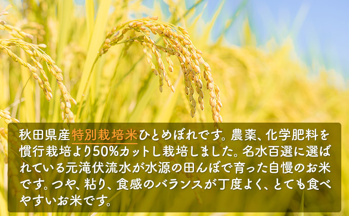 令和4年産 秋田県産 特別栽培米 ひとめぼれ20kg（20kg 1袋 玄米）