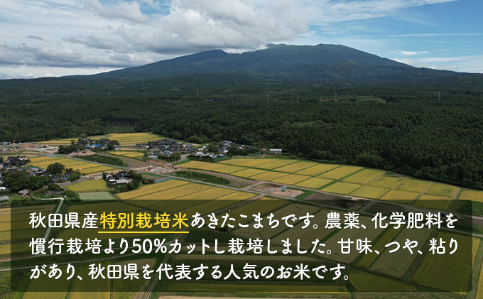 令和4年産 秋田県産 特別栽培米 あきたこまち20kg（20kg 1袋 玄米）