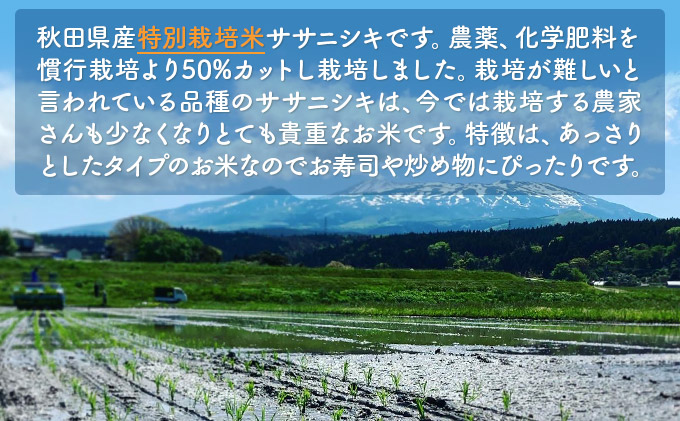 令和4年産  秋田県産 特別栽培米 ササニシキ10kg（5kg×2袋 精米）