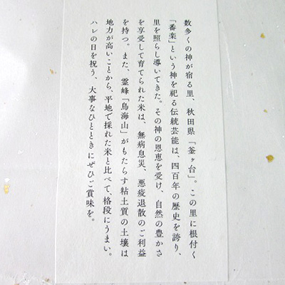 秋田県産 あきたこまち 玄米 12kg（2kg×6袋）神宿る里の米「ひの米」（お米 小分け）
