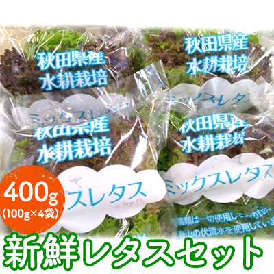 きれいな水で育てた新鮮レタスセット400g（100g×4袋 野菜 小分け）