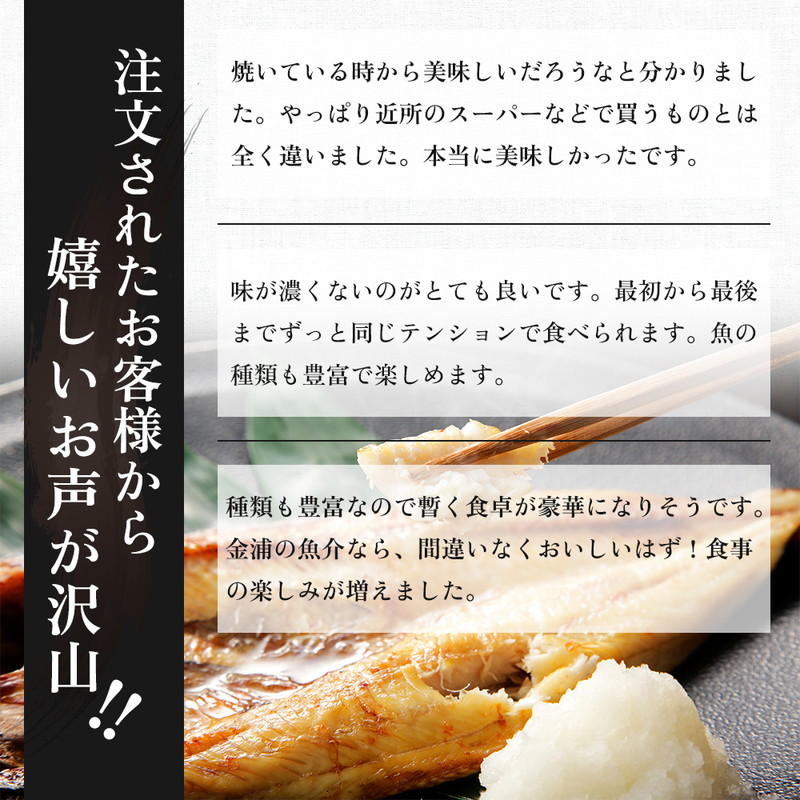 《定期便》12ヶ月連続 干物セット 15品程度(9種類程度)「秋田のうまいものセットC」