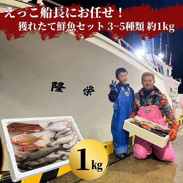 えっこ船長にお任せ！獲れたて鮮魚セット 3～5種類 約1kg（鮮魚 詰合せ ボックス）