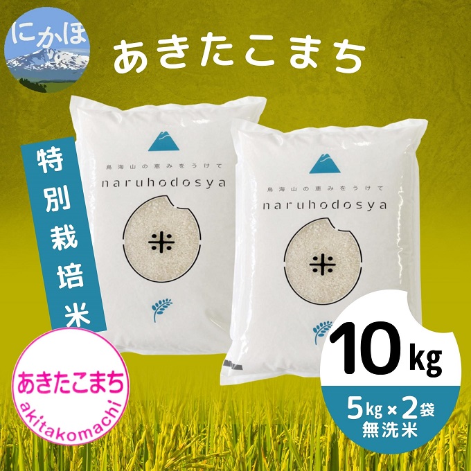 令和4年産 特別栽培米《無洗米》あきたこまち 10kg（5kg×2袋