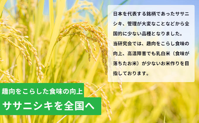 令和4年 特別栽培米 恋の舞 ササニシキ 2合×2袋（300g×2袋 小分け 精米）