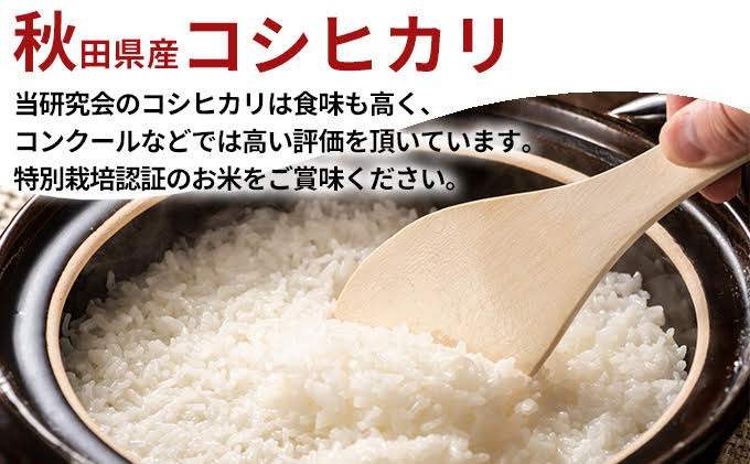 令和4年 特別栽培米 食べ比べ 恋の舞 ササニシキ＆鰰米 コシヒカリ 各2合（300g×2袋 小分け 精米）