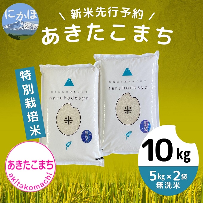 令和５年 新米 採れたて 農薬不使用 湧水栽培 玄米 15キロ ひとめぼれ - 米