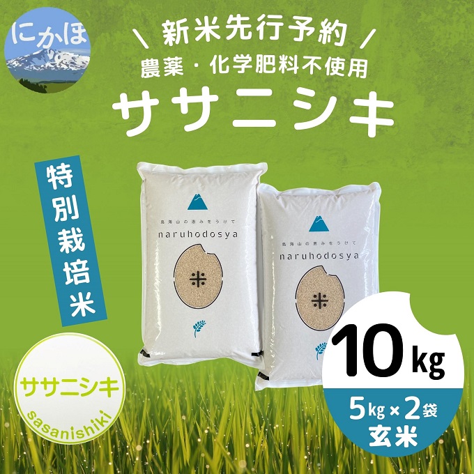 令和5年 亀の尾10kg（5kg×2）玄米 自然栽培米 掛け干し米 - 米・雑穀・粉類