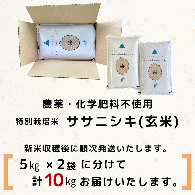 【令和5年産新米予約】【玄米】栽培期間中農薬・化学肥料不使用　特別栽培米ササニシキ10kg（5kg×2）