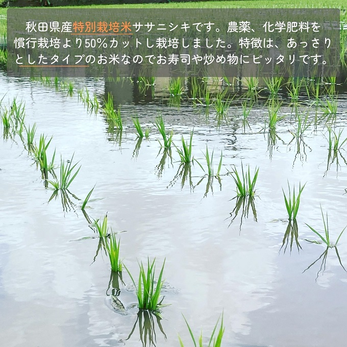 【令和5年産新米予約】【無洗米】特別栽培米ササニシキ10kg（5kg×2）