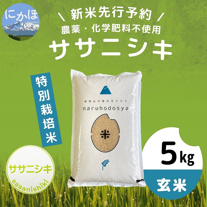 【令和5年産新米予約】【玄米】栽培期間中農薬・化学肥料不使用　特別栽培米ササニシキ5kg