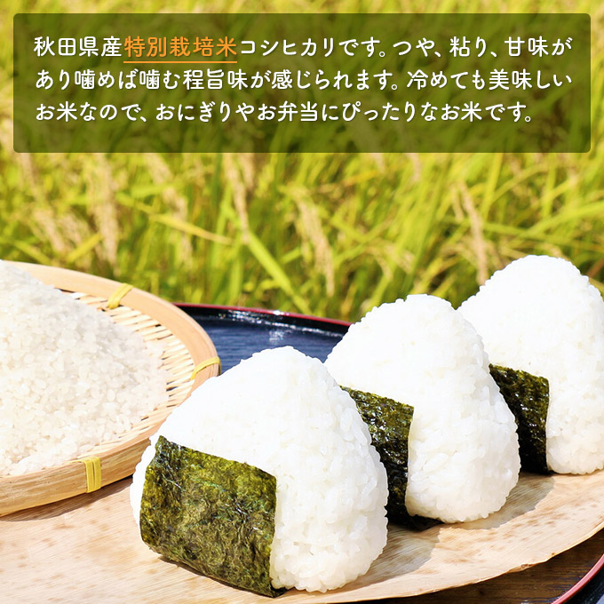 【令和5年産新米予約】【無洗米】特別栽培米にかほのお米 食べ比べ3種ギフトセット450g×3（サキホコレ、ササニシキ、コシヒカリ）