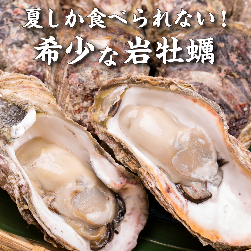 先行予約 秋田の肉厚な天然岩牡蠣（岩ガキ 5個以上）※ナイフ付き
