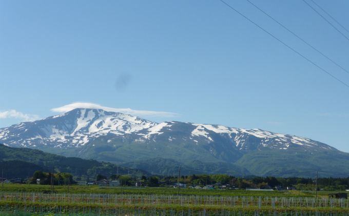 いちじくジャム 3個(140g×3個) 秋田県にかほ市産いちじく使用