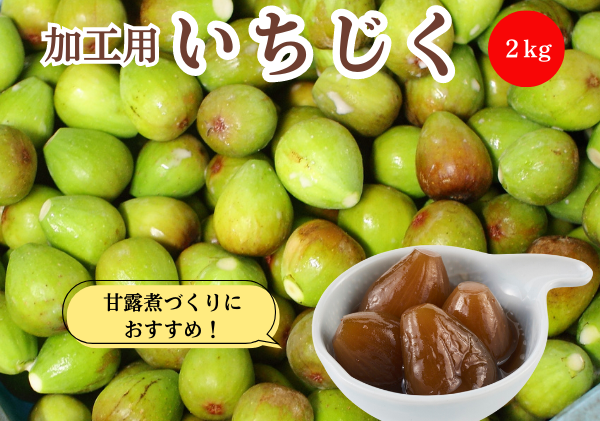 期間限定 加工用 生いちじく 2kg 秋田県にかほ市産 北限のいちじく ホワイトゼノア