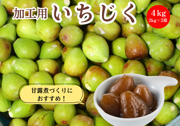 期間限定 加工用 生いちじく 4kg（2kg×2)  秋田県にかほ市産 北限のいちじく ホワイトゼノア