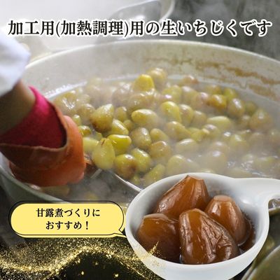 期間限定 加工用 生いちじく 4kg（2kg×2)  秋田県にかほ市産 北限のいちじく ホワイトゼノア