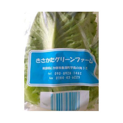 きれいな水で育てた新鮮レタスセット400g（100g×4袋 野菜 小分け）