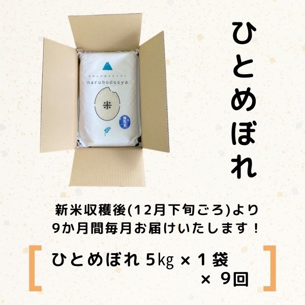 【令和5年産新米予約】<9ヵ月定期便>【無洗米】ひとめぼれ5kg×9回