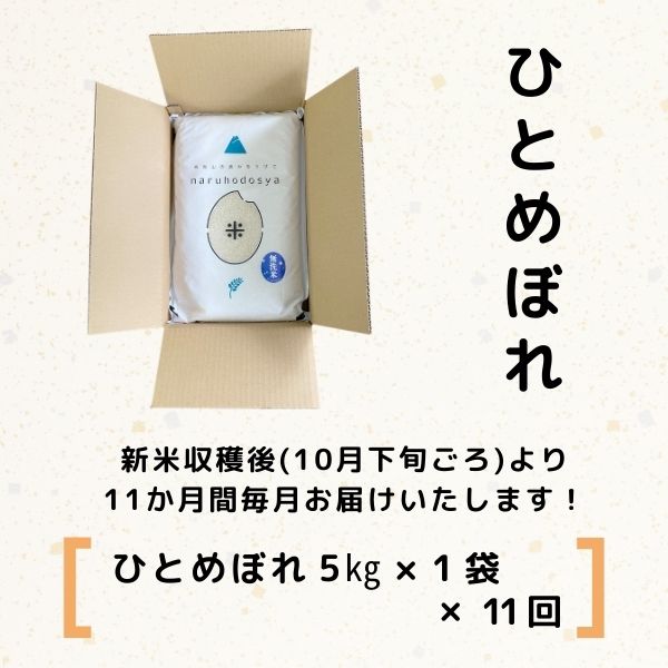 【令和5年産新米予約】<11ヵ月定期便>【無洗米】ひとめぼれ5kg×11回