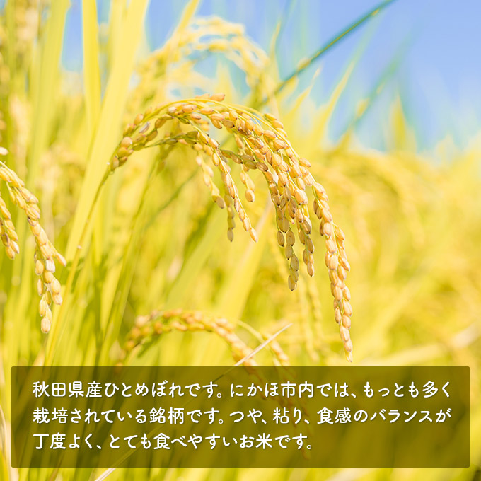 【令和5年産新米予約】<11ヵ月定期便>【無洗米】ひとめぼれ5kg×11回