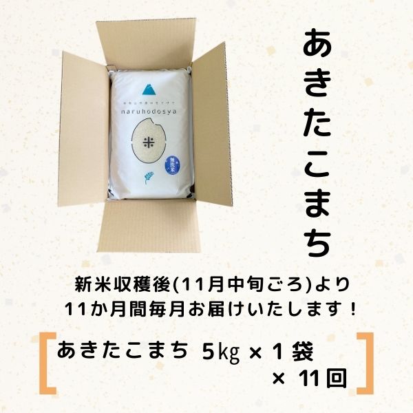 【令和5年産新米予約】【無洗米】<11ヵ月定期便>特別栽培米あきたこまち5kg×11回 計55kg