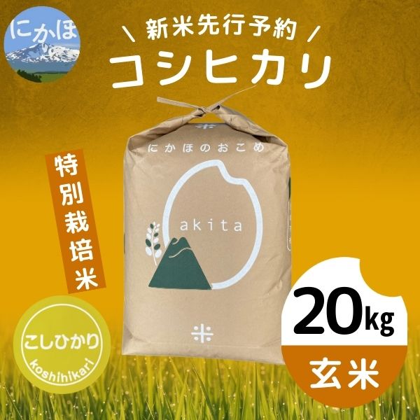 【令和5年産新米予約】【玄米】特別栽培米コシヒカリ20kg