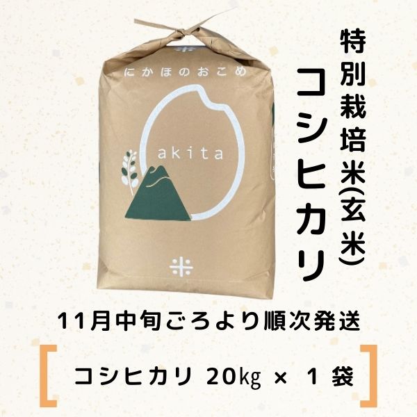 【令和5年産新米予約】【玄米】特別栽培米コシヒカリ20kg