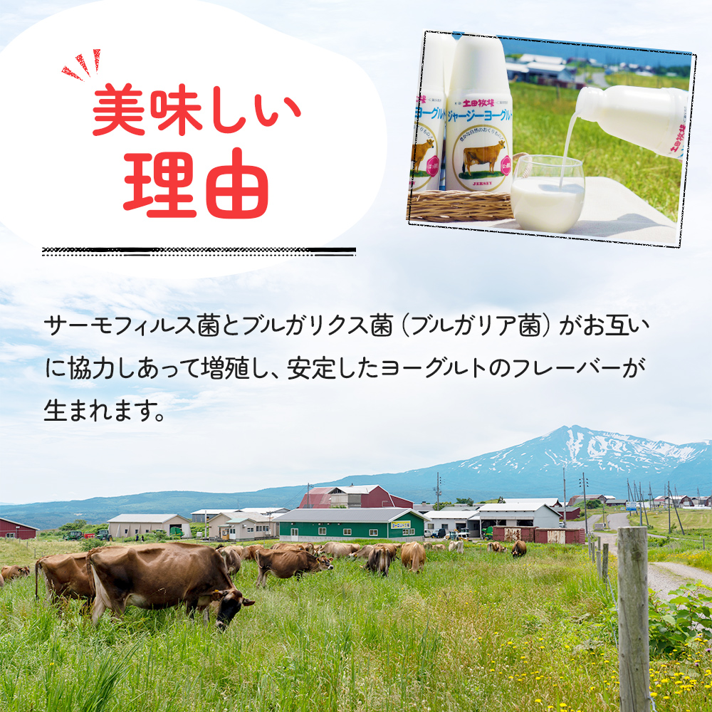 土田牧場 のむヨーグルト 900ml×3本 「ジャージーヨーグルト」（飲む ヨーグルト 健康 栄養 豊富）