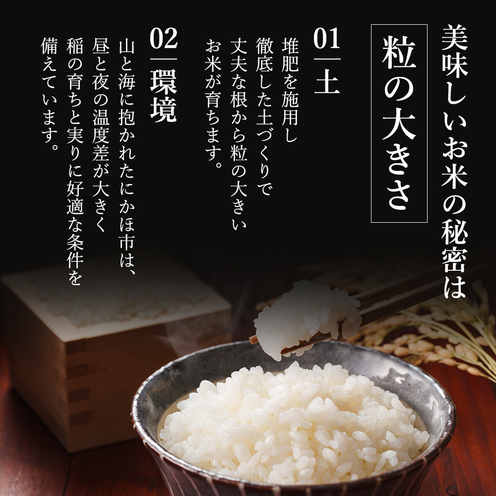 〈定期便5ヶ月〉米 秋田 あきたこまち 2kg(約13合) ×5回 計10kg(約65合)精米 白米 土づくり実証米 令和6年産  