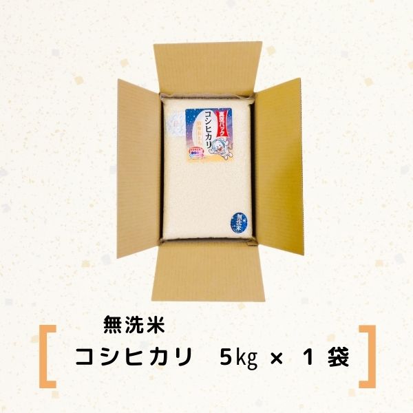 【新生活応援】【令和5年産】【無洗米】コシヒカリ5kg×1