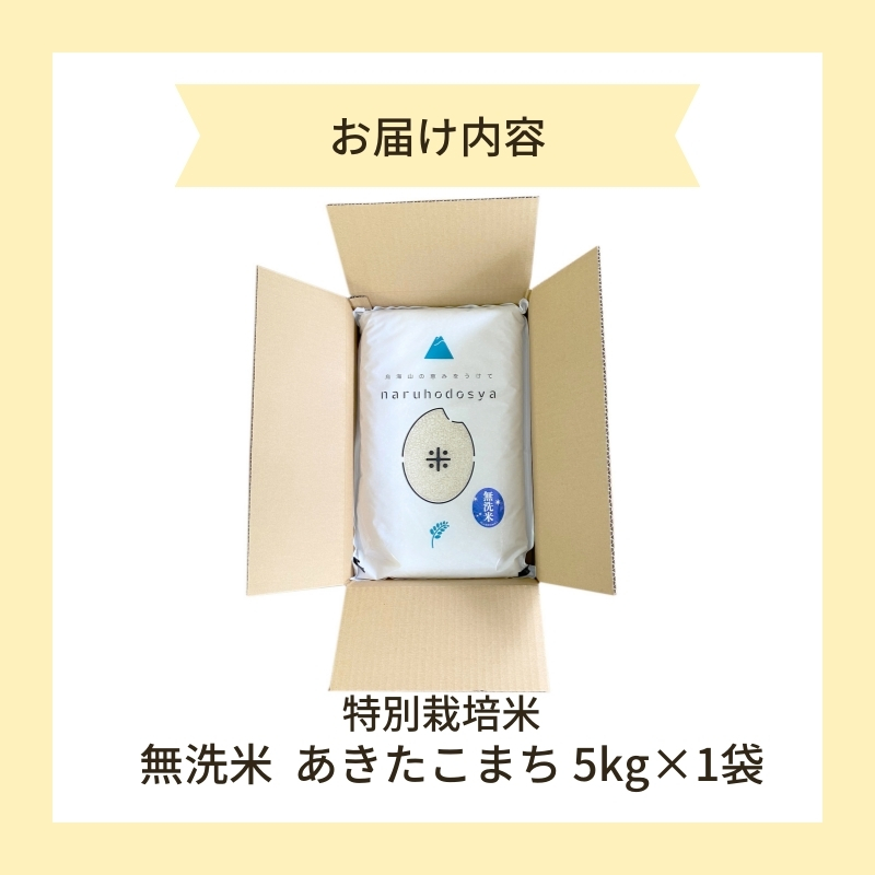 【令和6年産新米予約】【無洗米】特別栽培米あきたこまち5kg×1