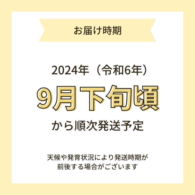 【令和6年産新米予約】【無洗米】特別栽培米あきたこまち5kg×1