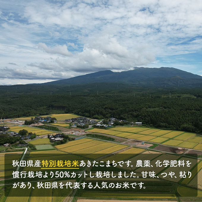 【令和6年産新米予約】<2ヵ月定期便>【無洗米】特別栽培米あきたこまち5kg×2回 合計10kg