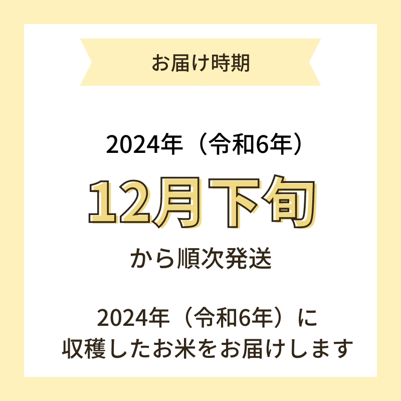 【令和6年産新米予約】<9ヵ月定期便>【無洗米】特別栽培米あきたこまち5kg×9回 合計45kg