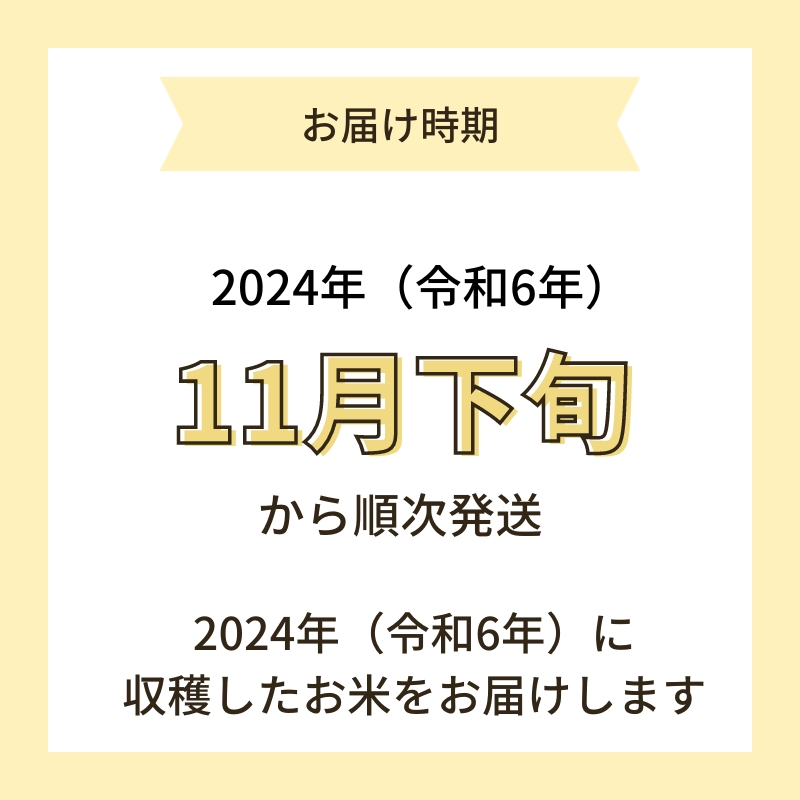 【令和6年産新米予約】<10ヵ月定期便>【無洗米】特別栽培米あきたこまち5kg×10回 合計50kg