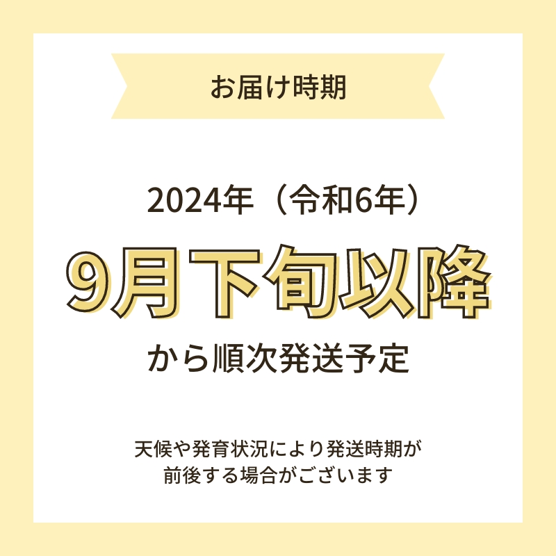 【令和6年産新米予約】<12ヵ月定期便>【無洗米】特別栽培米あきたこまち5kg×12回 合計60kg