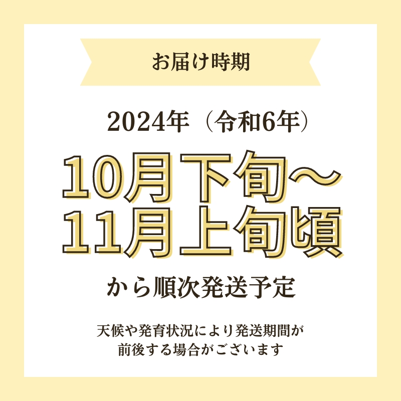 【令和6年産新米予約】栽培期間中 農薬・化学肥料不使用【無洗米】特別栽培米サキホコレ4kg（2kg×2）